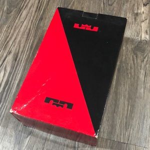 Lebron “What The Lebron” 11